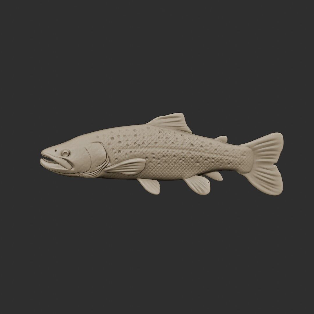 TROUT 3D easy to print 3D print model_1