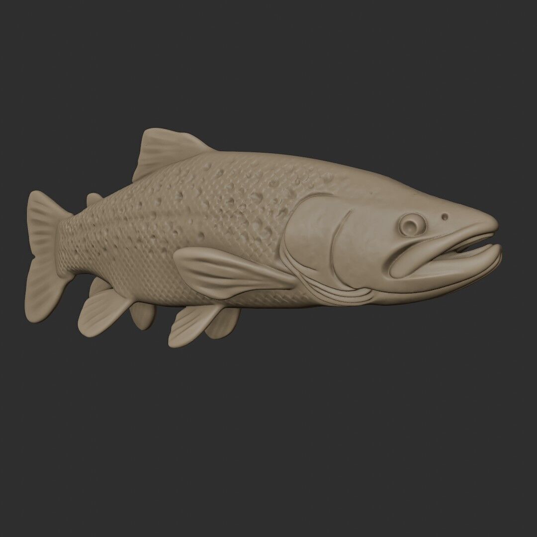 TROUT 3D easy to print 3D print model_3