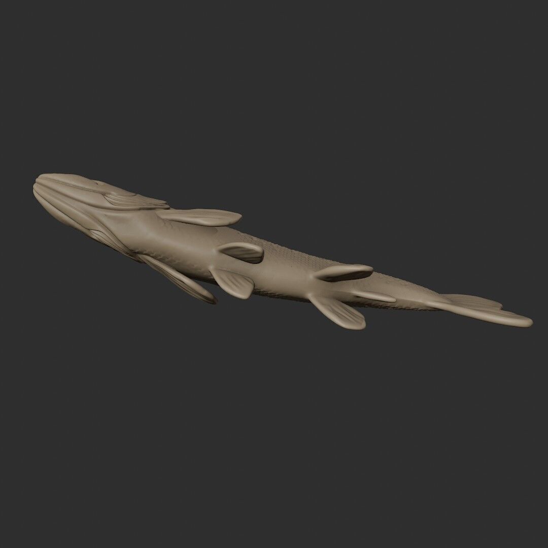 TROUT 3D easy to print 3D print model_2