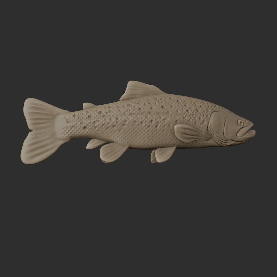 TROUT 3D easy to print 3D print model_4