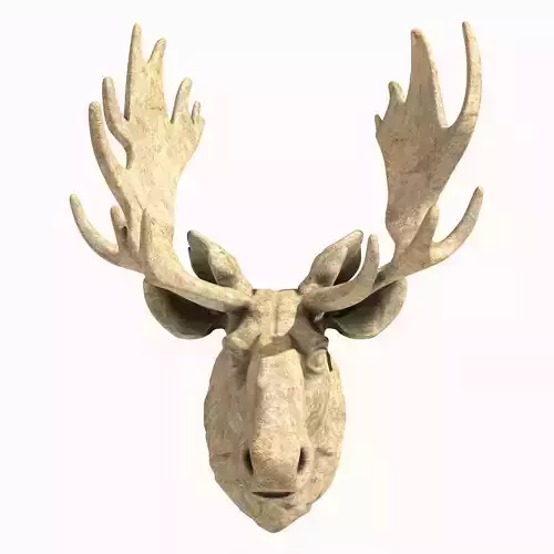 Moose Head 3D print model