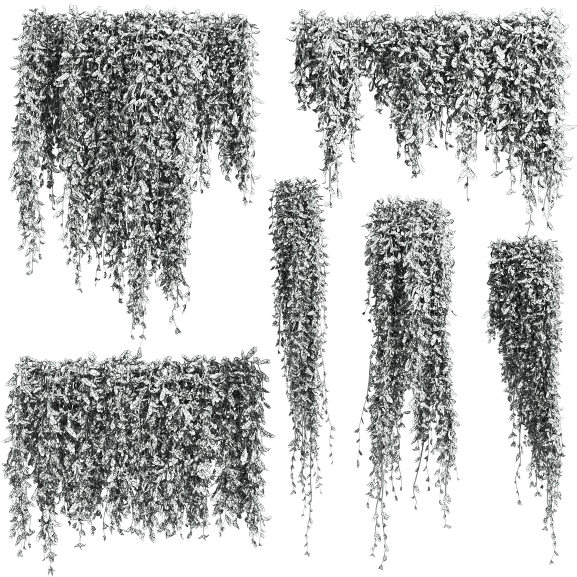 ivy plants 3D model_4