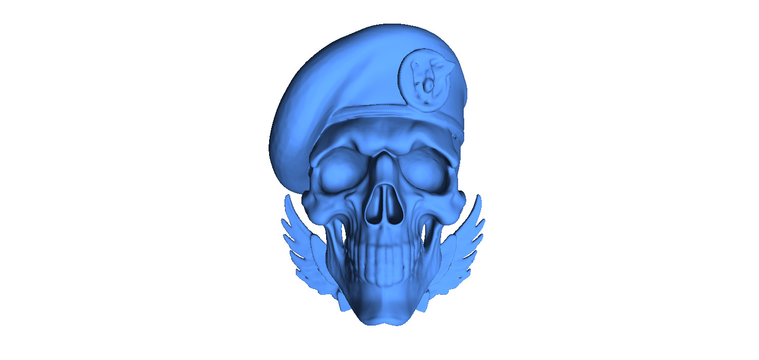 Naval Special Forces Skull 3D print model_1