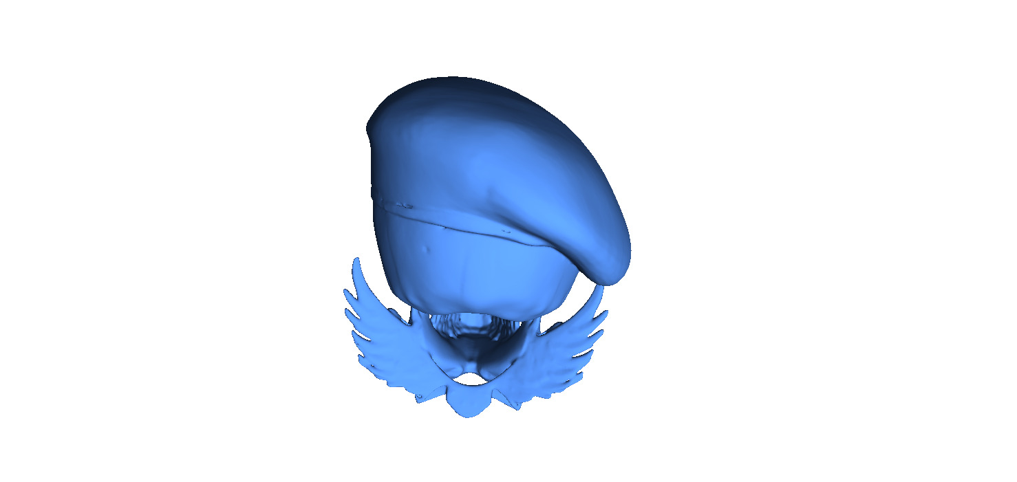 Naval Special Forces Skull 3D print model_4