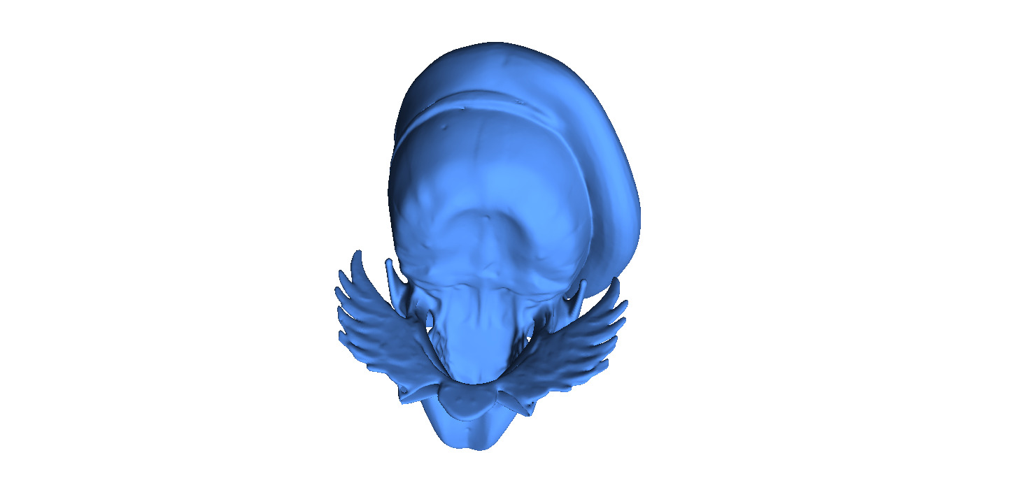Naval Special Forces Skull 3D print model_5