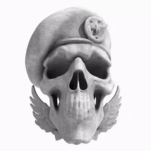 Naval Special Forces Skull