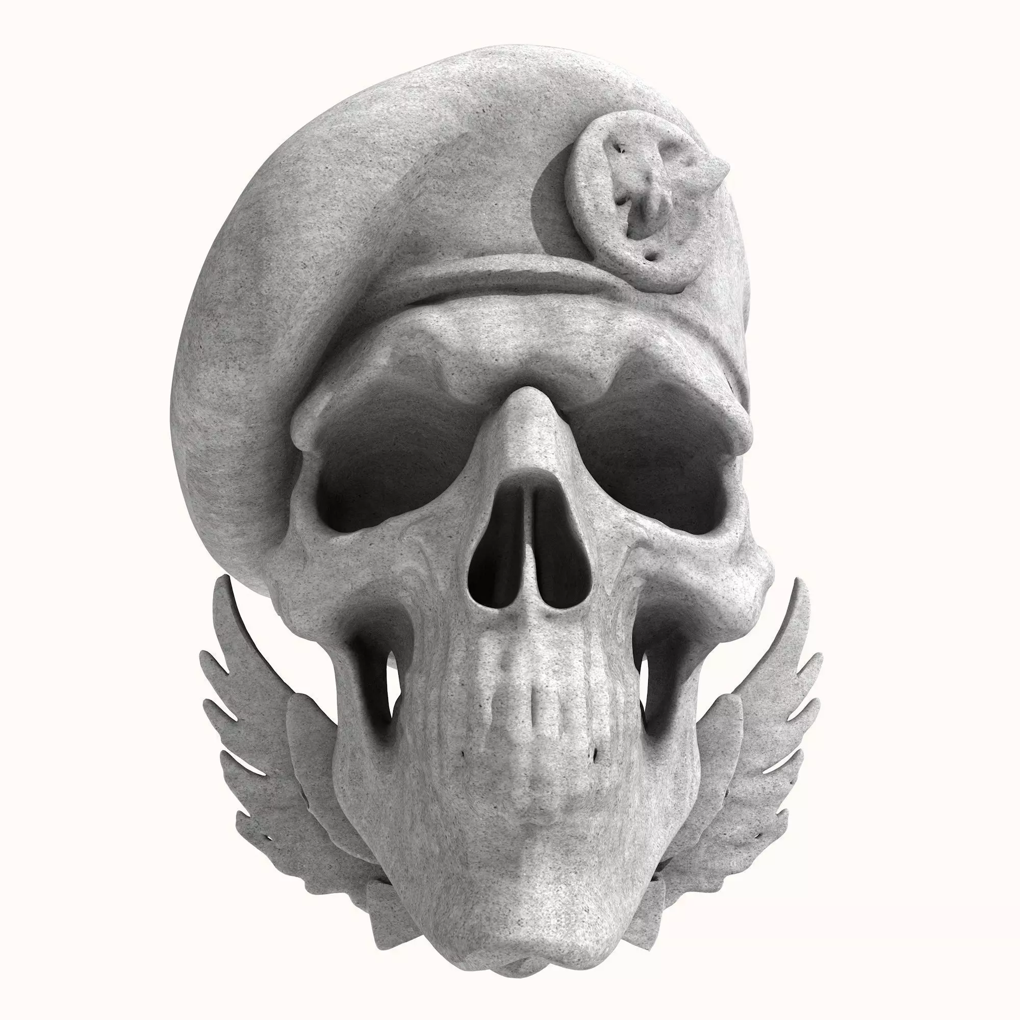 Naval Special Forces Skull 3D print model_0
