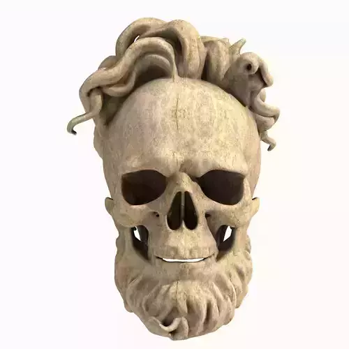 Bearded Skull 7