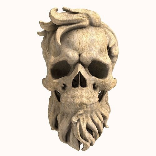 Bearded Skull 6 3D print model