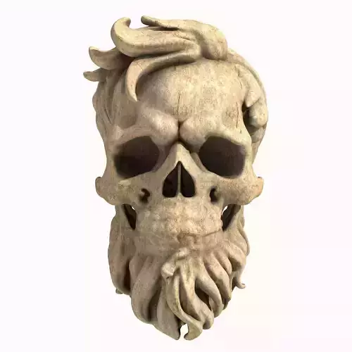 Bearded Skull 6