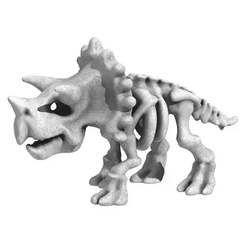 Triceratops Dinosaur Skeleton