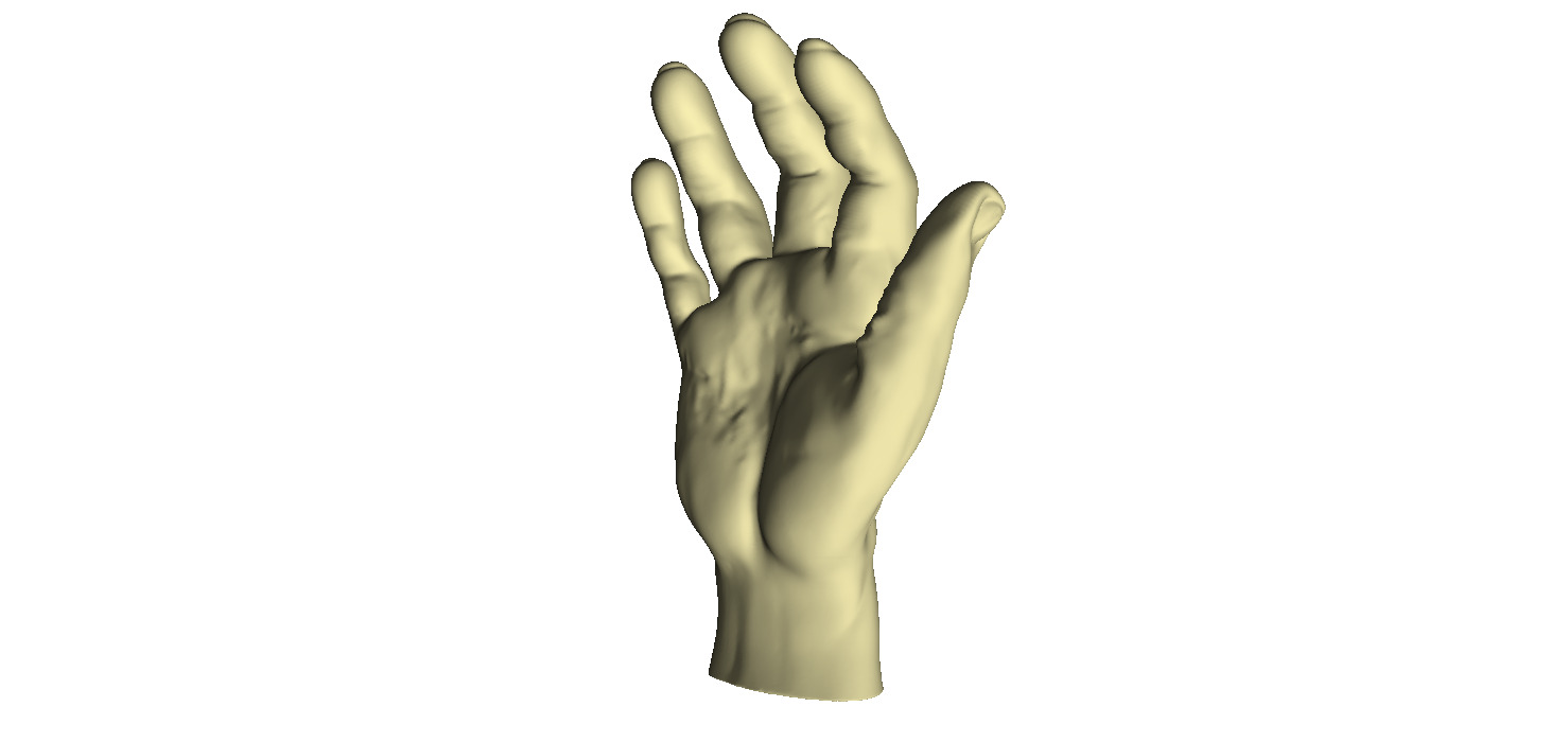 Male Hand 3D print model_2