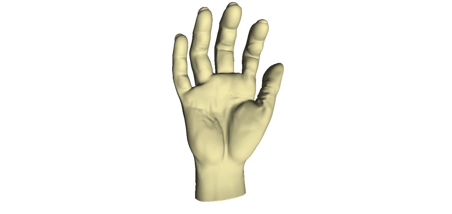Male Hand 3D print model_3