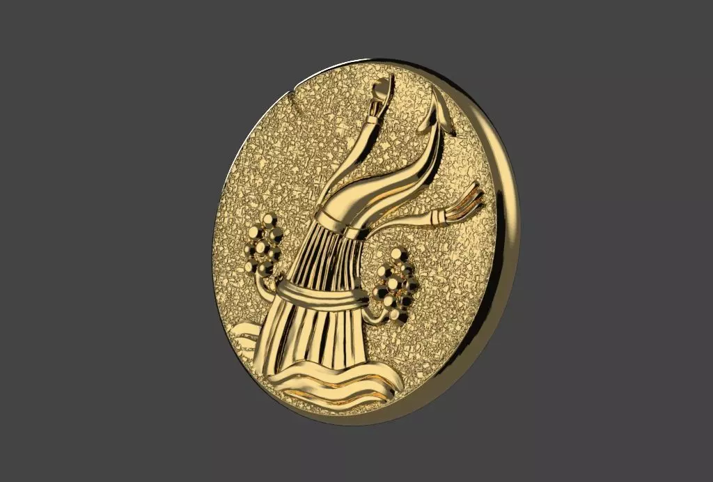 Zodiaque medal  Aquarius 3D print model_0
