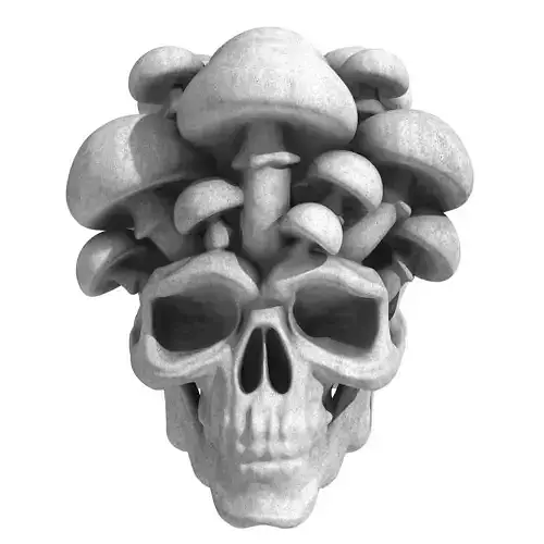 Mushroom Skull
