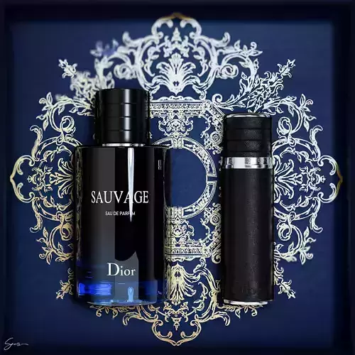 Christian Dior Sauvage Pack Free 3D model