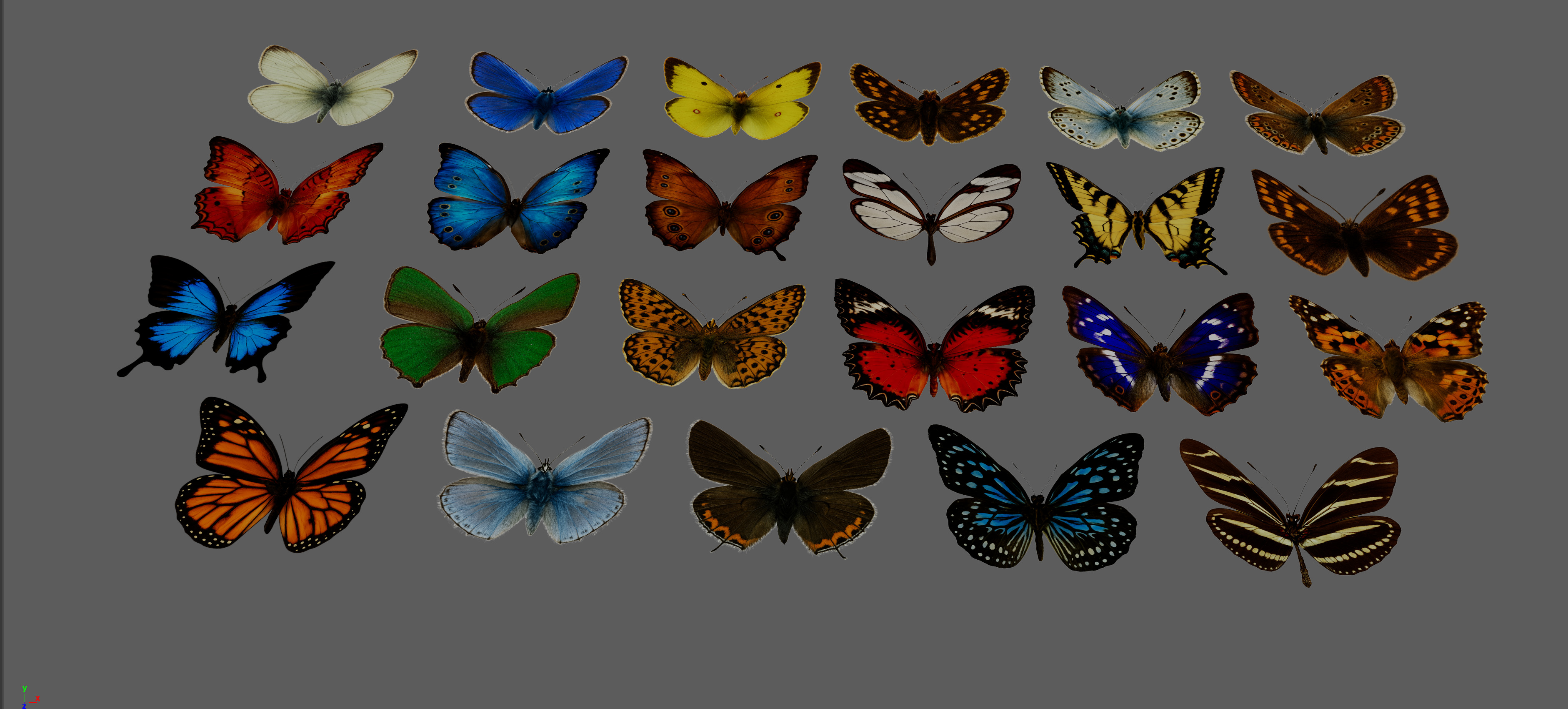 Butterflies Animated Rigged Collection Low-poly 3D model_5