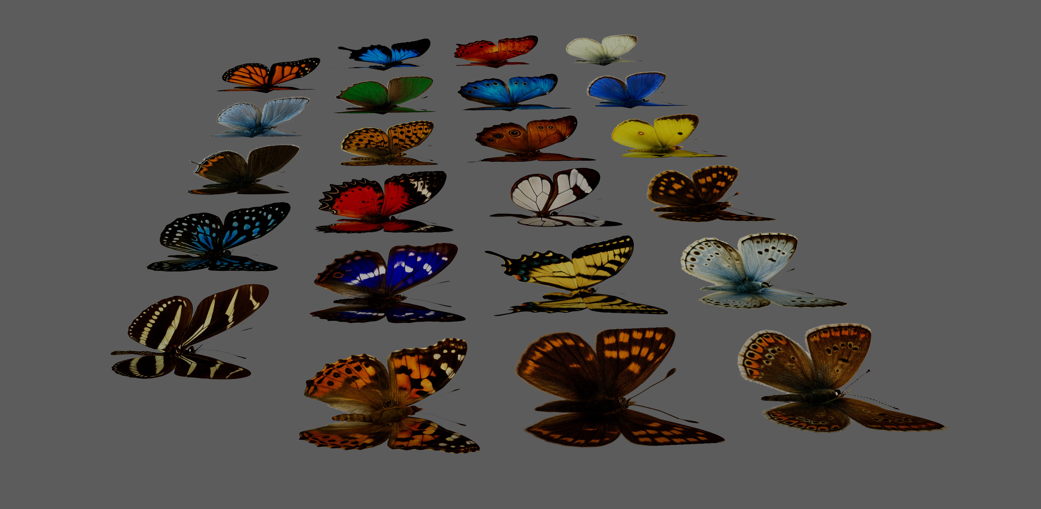 Butterflies Animated Rigged Collection Low-poly 3D model_7