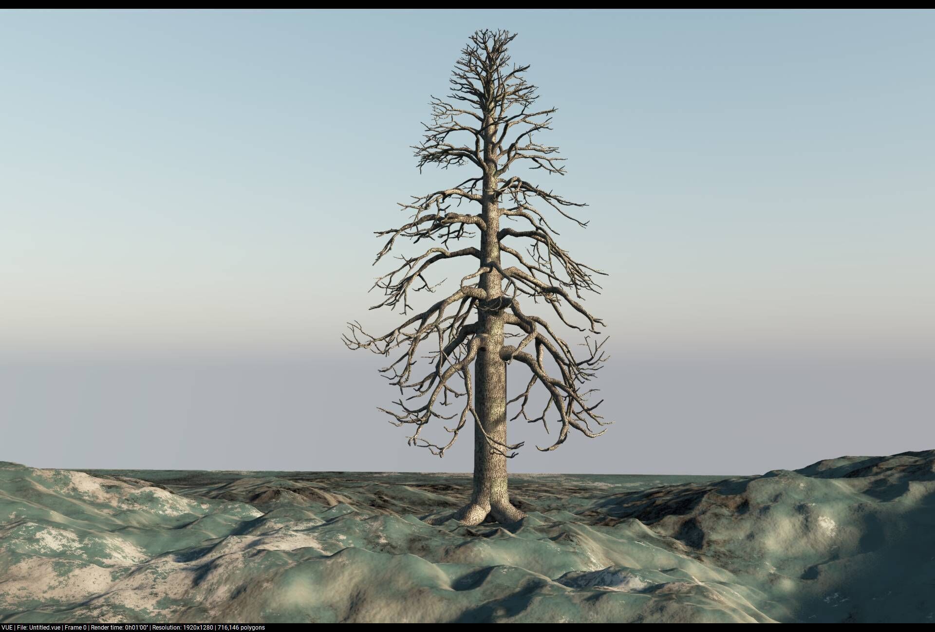 Dry Elements - Plants and terrains - 3D model 3D model_1