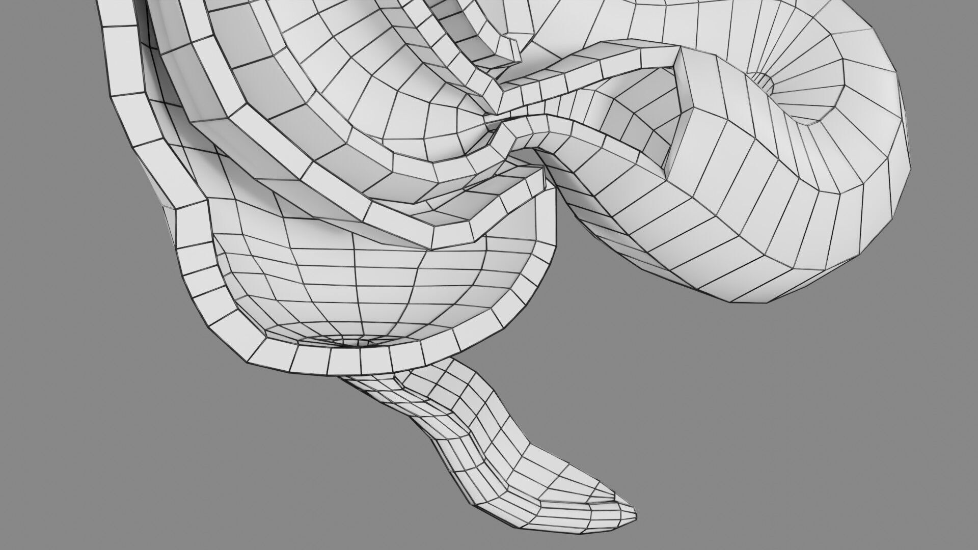 Intussusception intestine ileocolic obstruction Low-poly 3D model_56