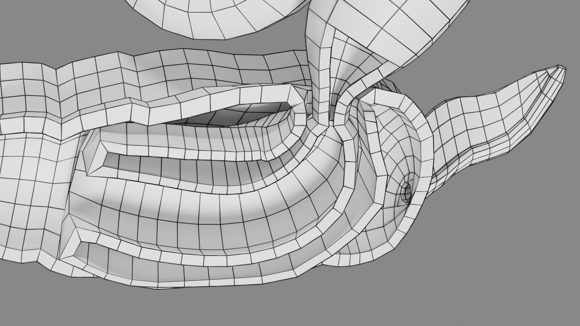 Intussusception intestine ileocolic obstruction Low-poly 3D model_63