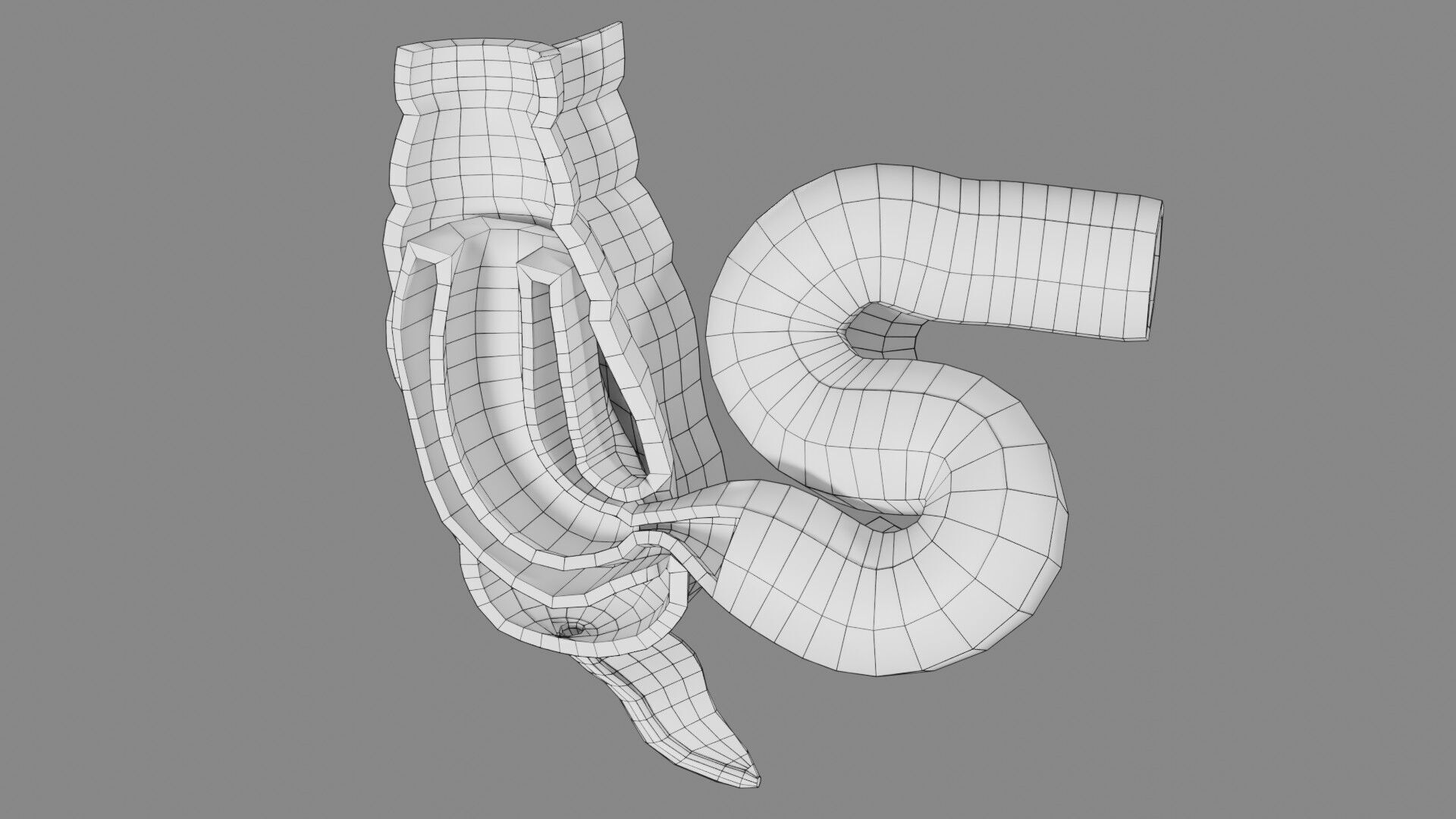 Intussusception intestine ileocolic obstruction Low-poly 3D model_53