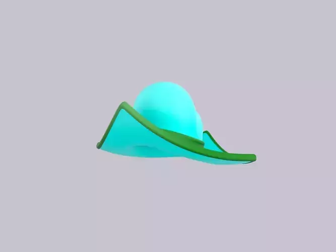 Hat806