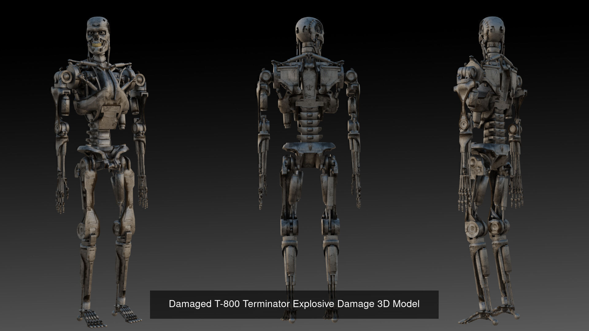 T-800 3D Model Pack  3 High Detail Terminator Variants 3D Model Collection_2