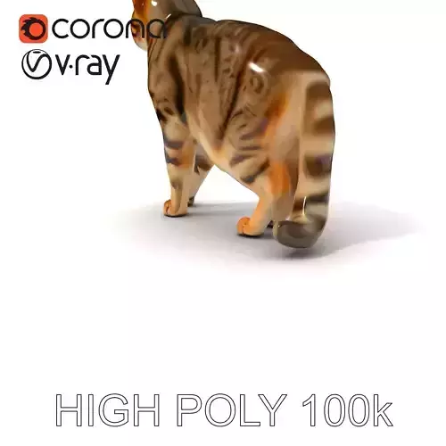 Realistic Cat Model Pack for Games and Animation