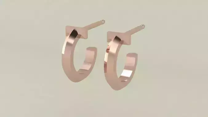 Earrings Tiffany