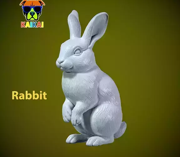 Rabbit rex model urban vibes
