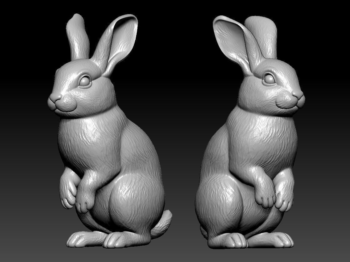 Rabbit rex model urban vibes 3D print model_2