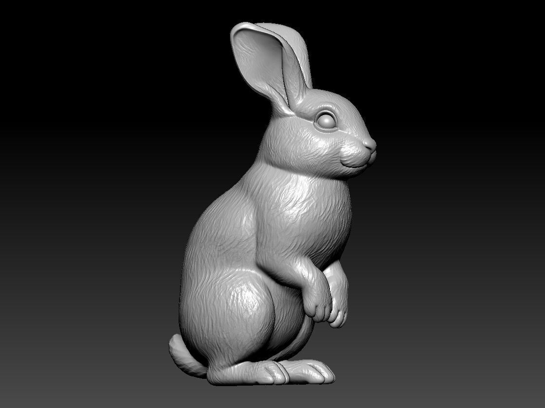 Rabbit rex model urban vibes 3D print model_3