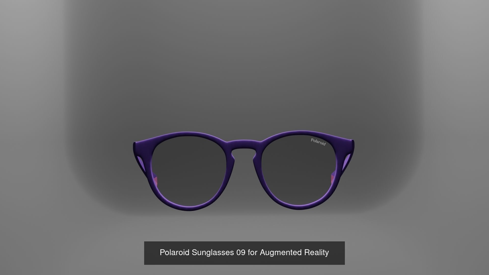 ZizzGrizz Polaroid Sunglasses  3D Model Collection_22