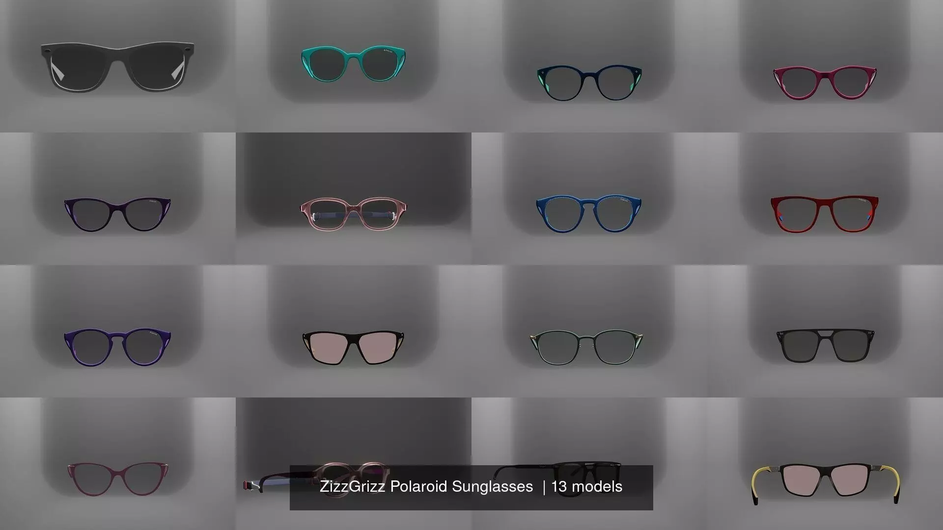 ZizzGrizz Polaroid Sunglasses  3D Model Collection_0
