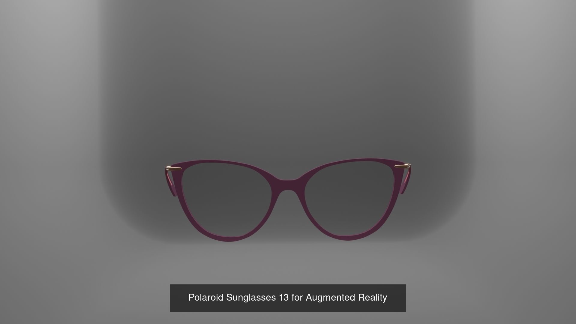 ZizzGrizz Polaroid Sunglasses  3D Model Collection_26