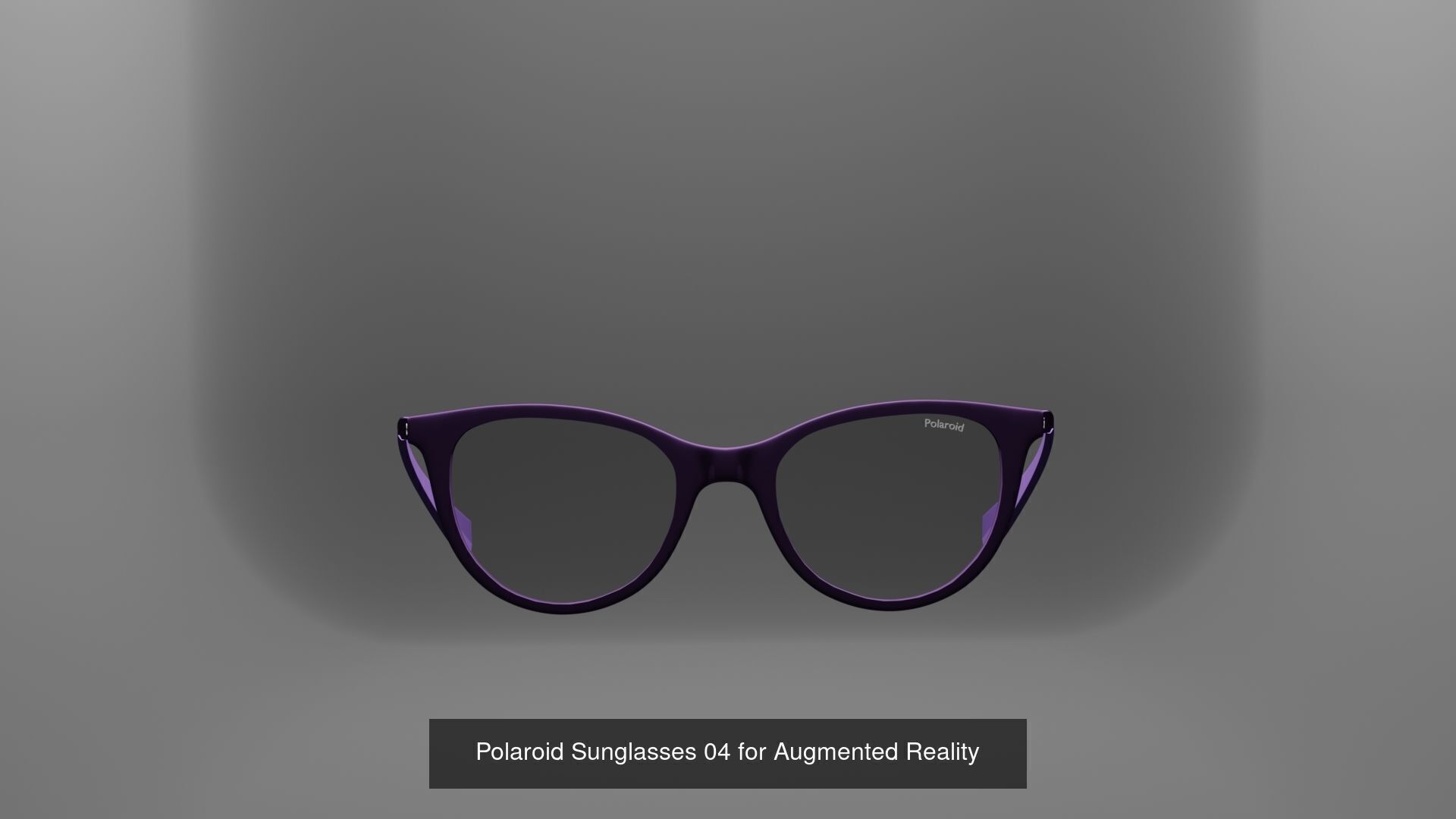 ZizzGrizz Polaroid Sunglasses  3D Model Collection_18