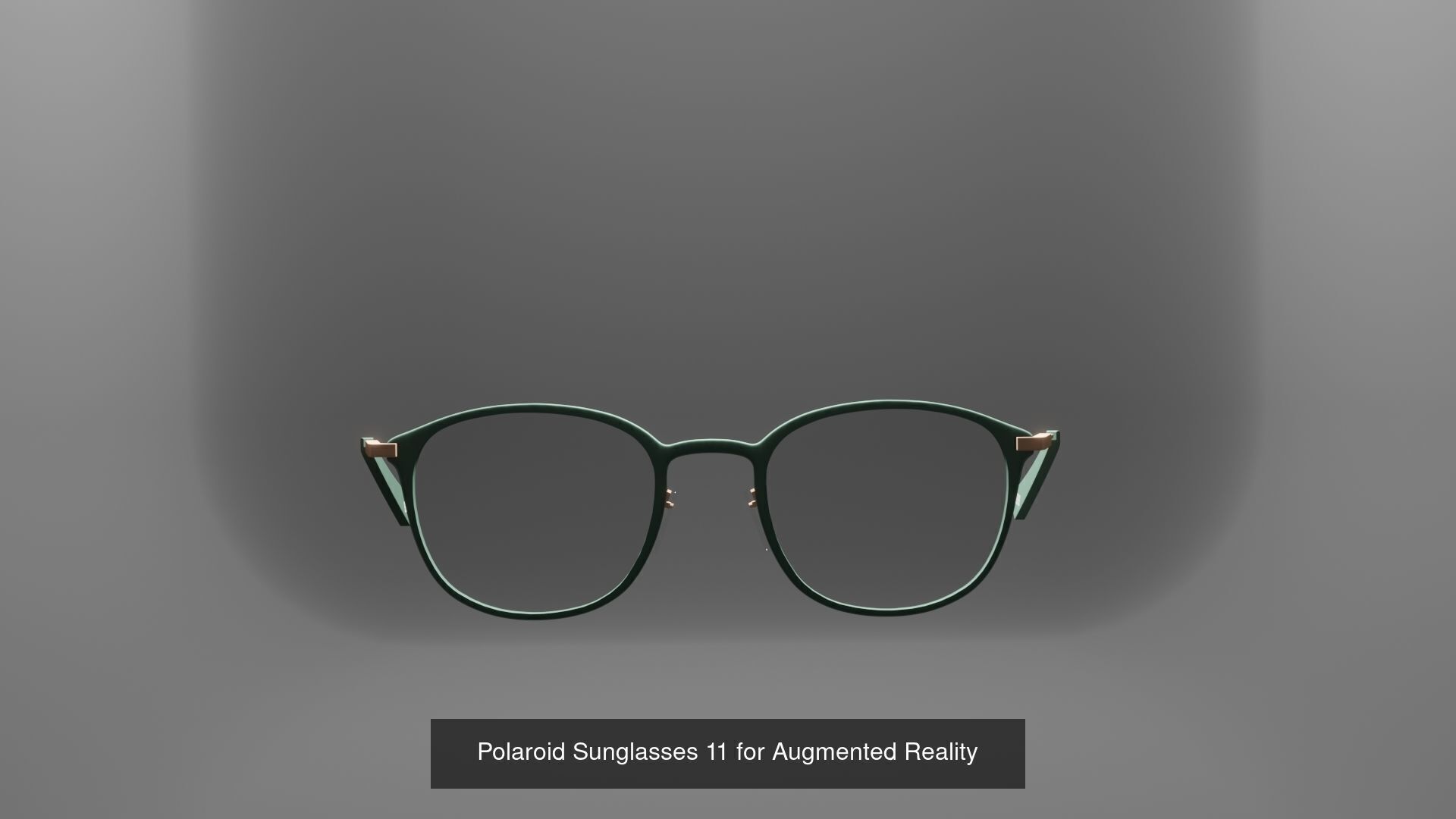 ZizzGrizz Polaroid Sunglasses  3D Model Collection_24