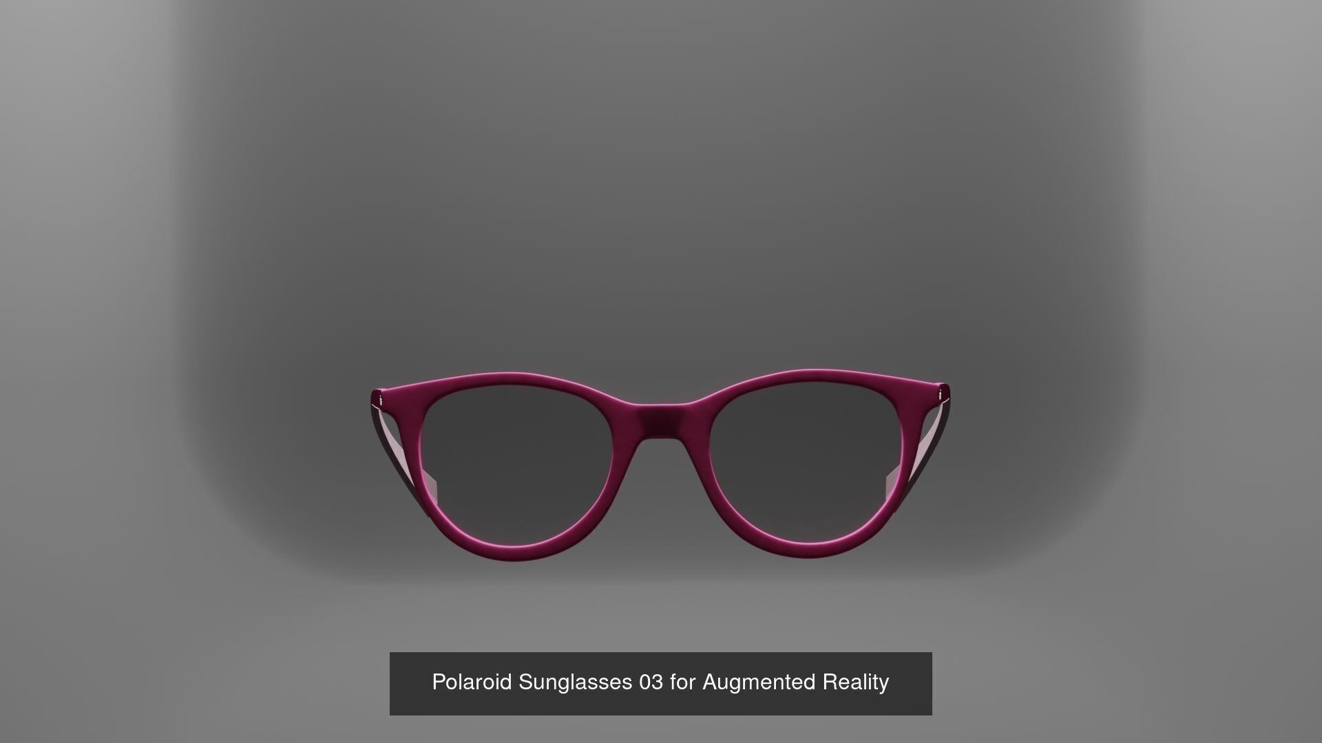ZizzGrizz Polaroid Sunglasses  3D Model Collection_17