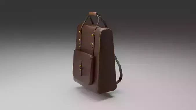 LEATHER BACKPACK OR BAG 