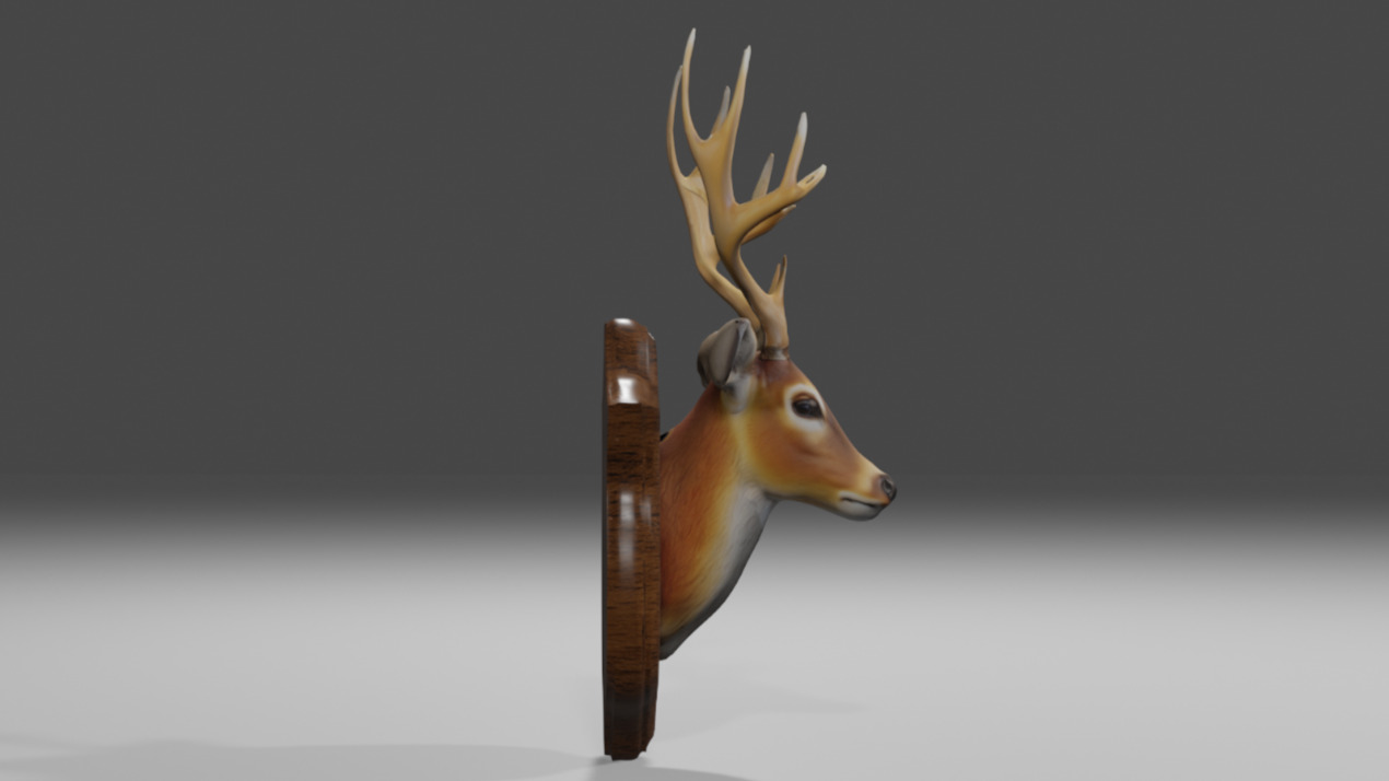 Realistic Mounted Deer Head Low-poly 3D model_4
