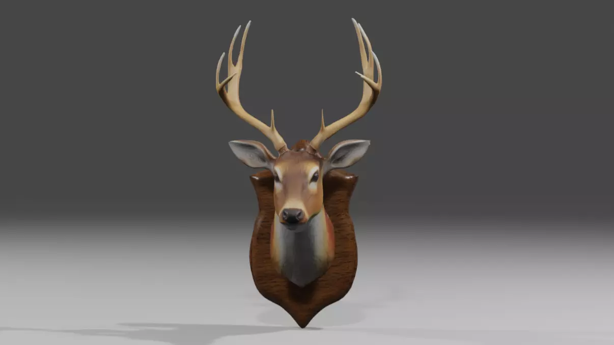 Realistic Mounted Deer Head Low-poly 3D model_0