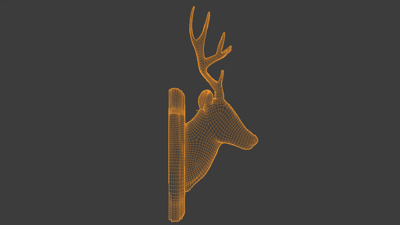 Realistic Mounted Deer Head Low-poly 3D model_15
