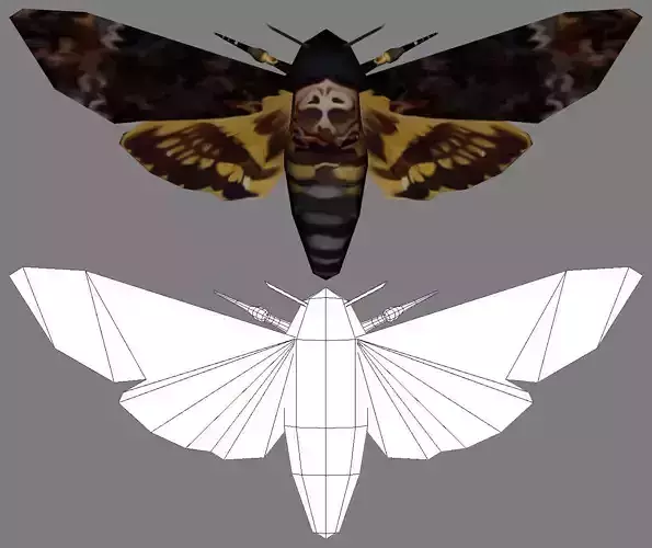 Low-Poly Hand-Painted Death Head HawkMoth Low-poly 3D model