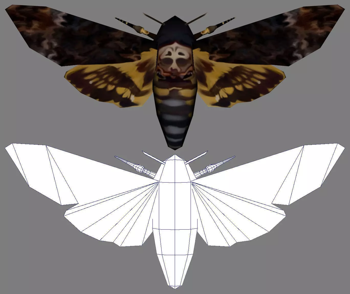 Low-Poly Hand-Painted Death Head HawkMoth Low-poly 3D model_0