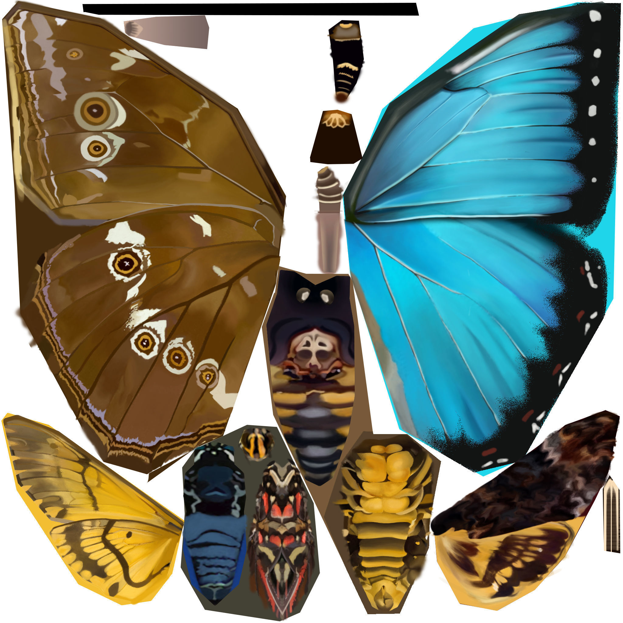 Low-Poly Hand-Painted Death Head HawkMoth Low-poly 3D model_1