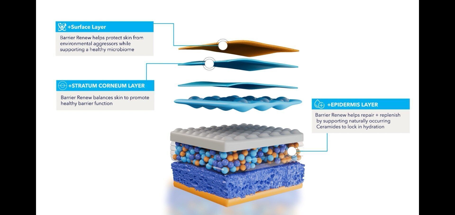 Ceramidin Cream 3D Model with 8 Second Animation 3D model_2