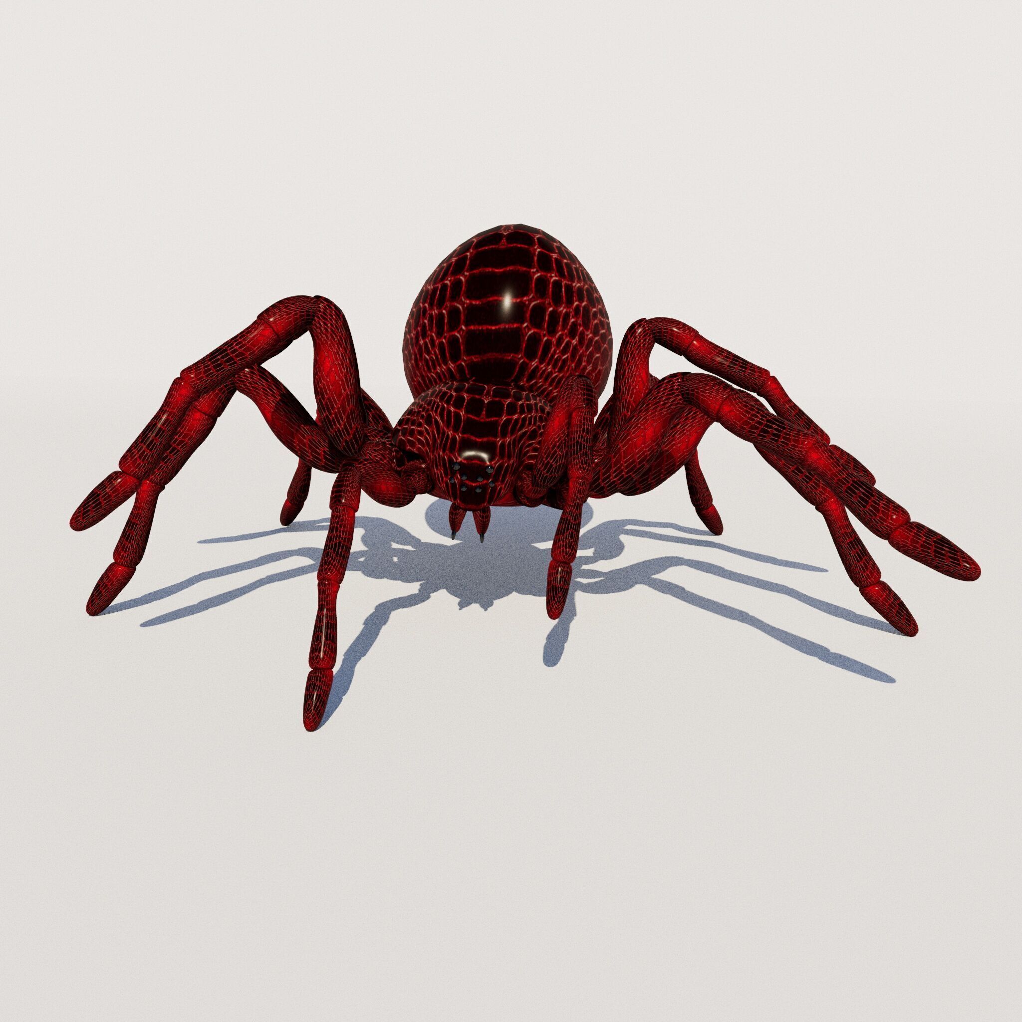 imazing spider Low-poly 3D model_5