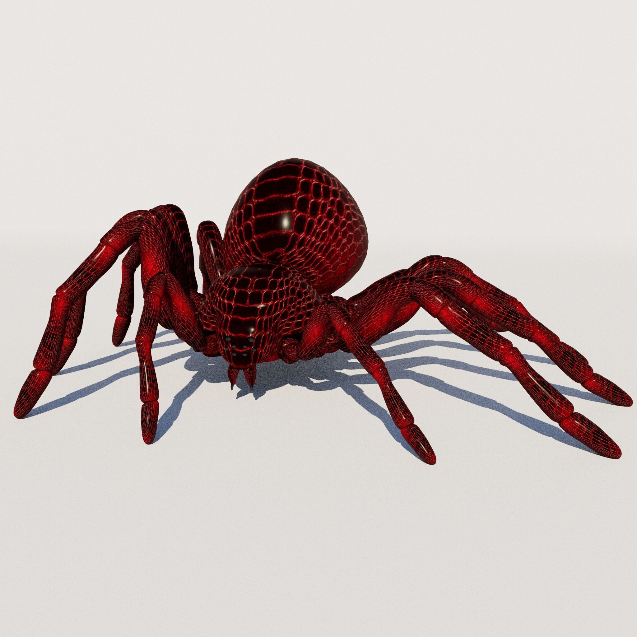 imazing spider Low-poly 3D model_9
