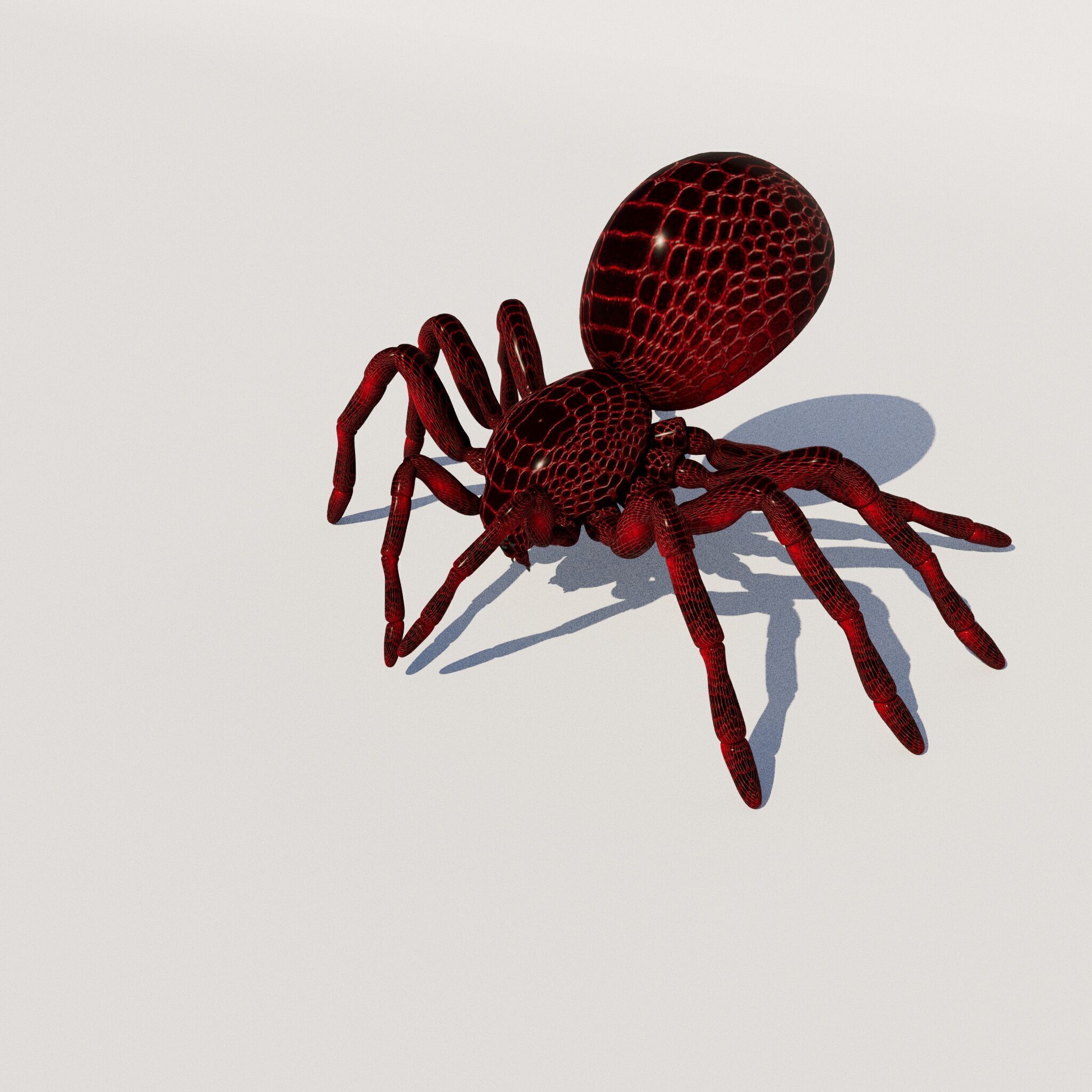 imazing spider Low-poly 3D model_4